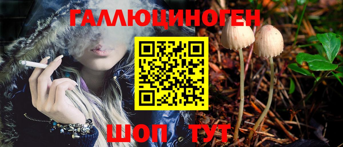 Псилоцибиновые грибы GOLDEN TEACHER  Галлюциногенные грибы GOLDEN TEACHER  Вход с VPN  Новоалександровск 